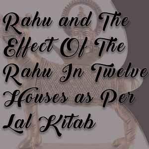 12 houses and rahu
